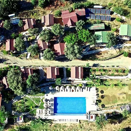 Olive Garden Kabak Faralya