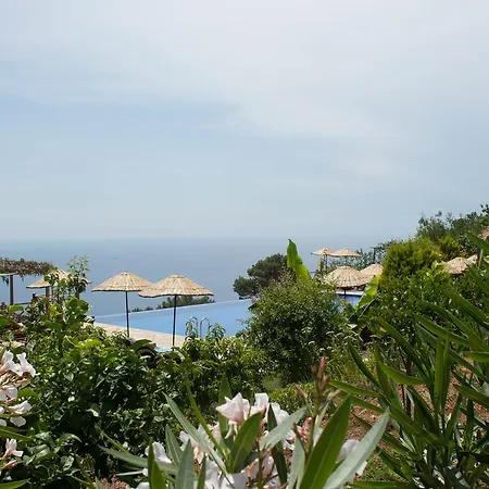 Holiday park Olive Garden Kabak