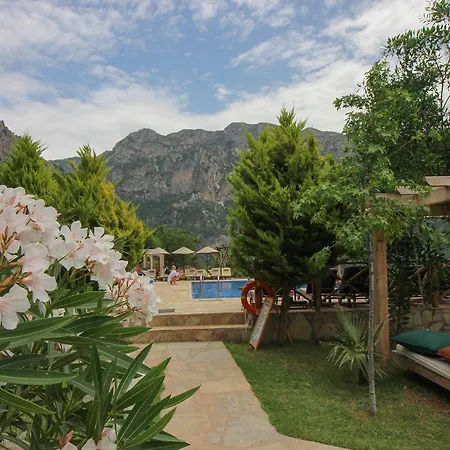 Üdülőpark Olive Garden Kabak 2*