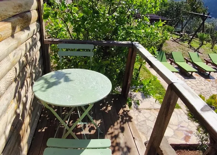 橄榄园卡巴克酒店 法拉尔雅