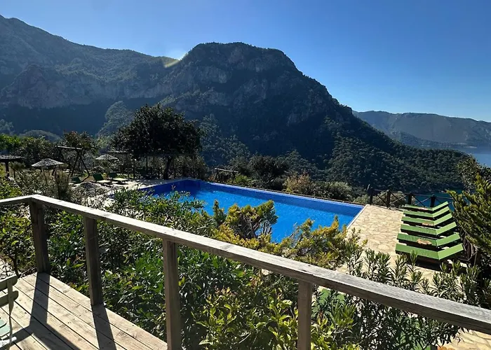 Tatil parkı Olive Garden Kabak 2*
